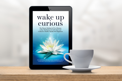 Wake Up Curious Kindle Edition